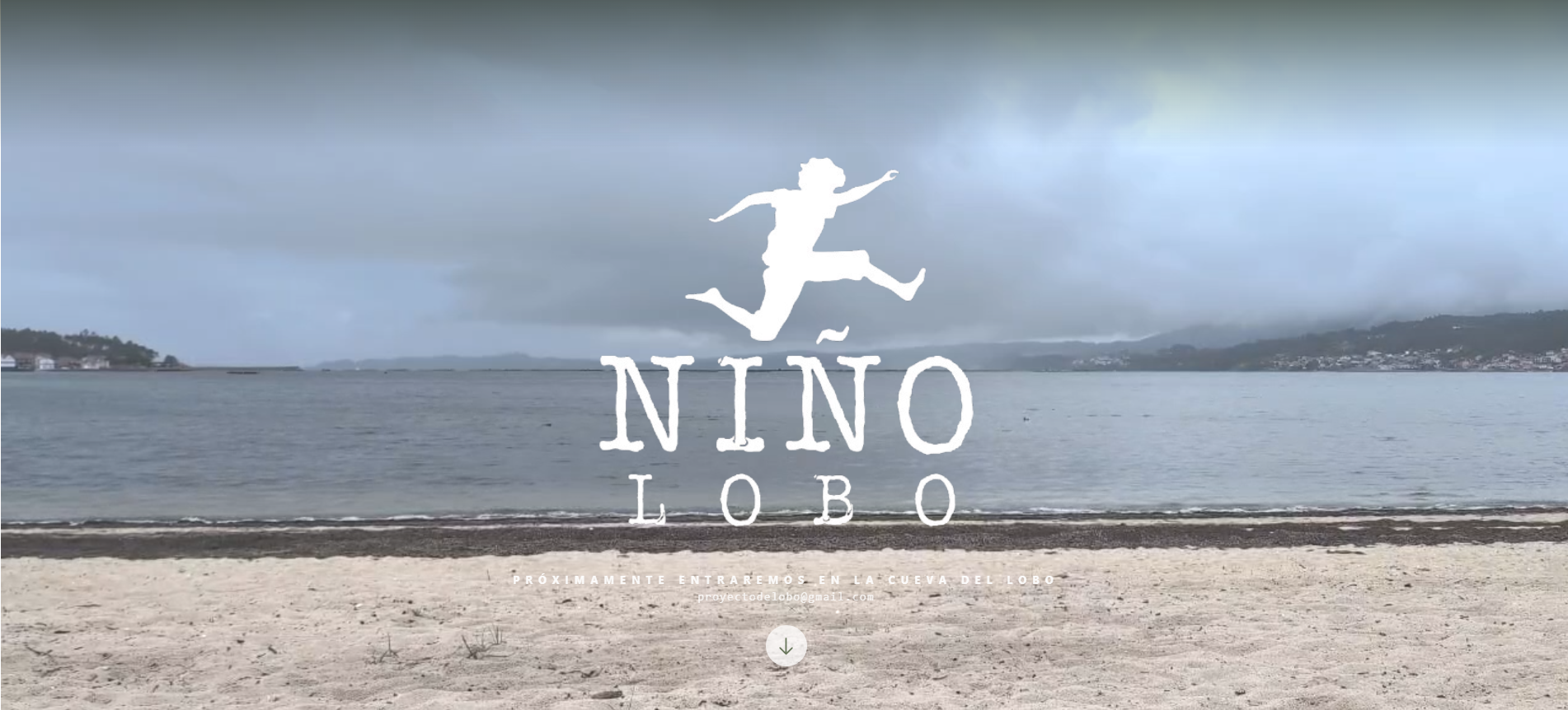 Captura del proyecto e-commerce a medida Nenolobo